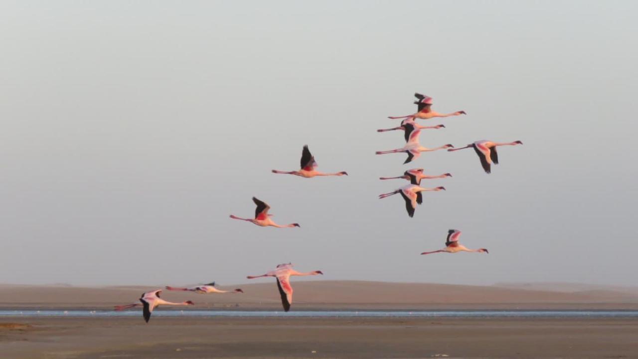 Lagoon View Self Catering Walvis Bay Exteriér fotografie